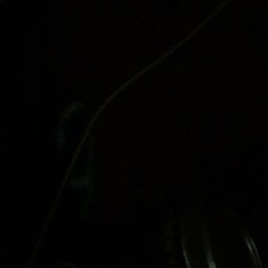 Meet your Posher, Alexee